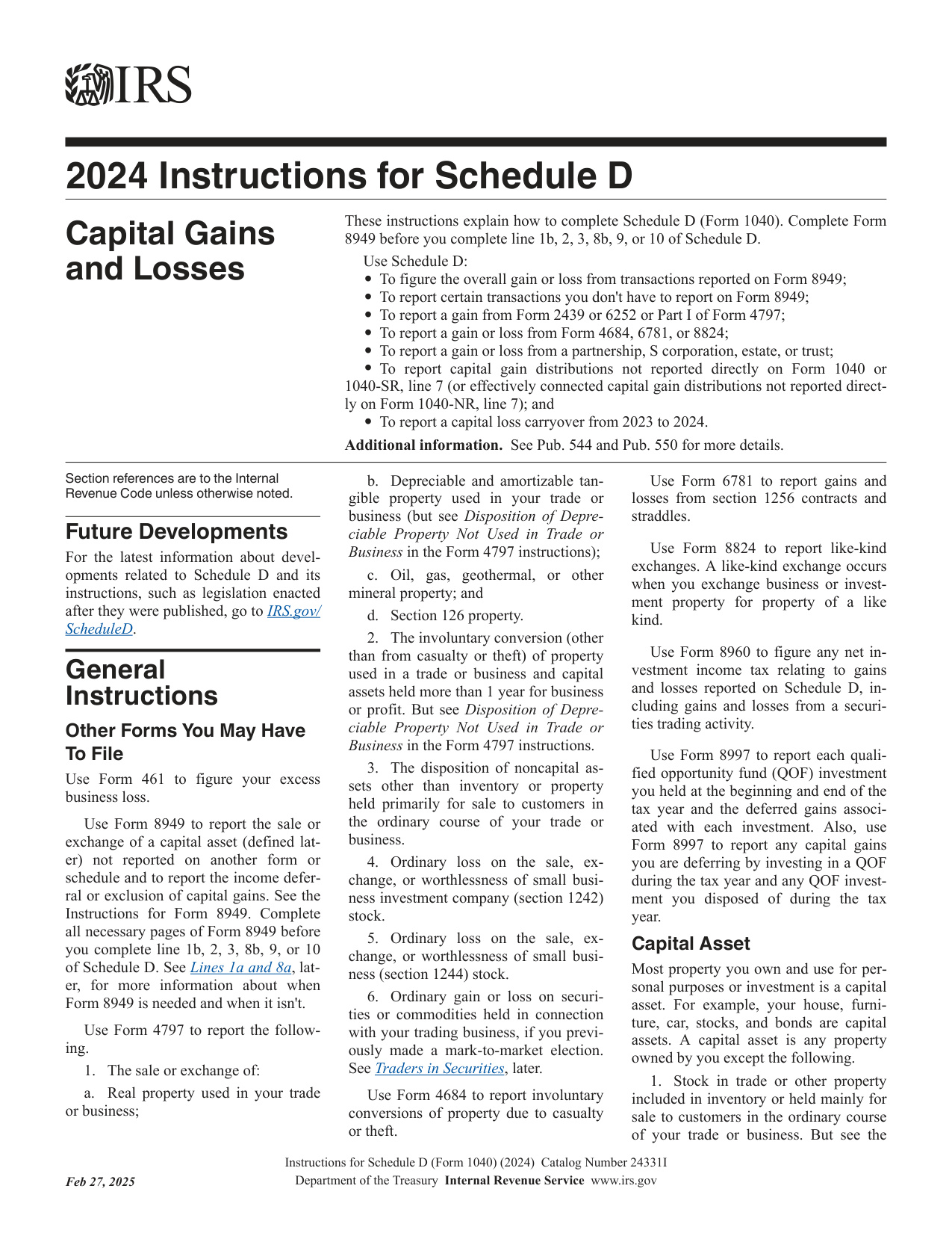 Form 461 Limitation On Business Losses 2024-2025 form preview